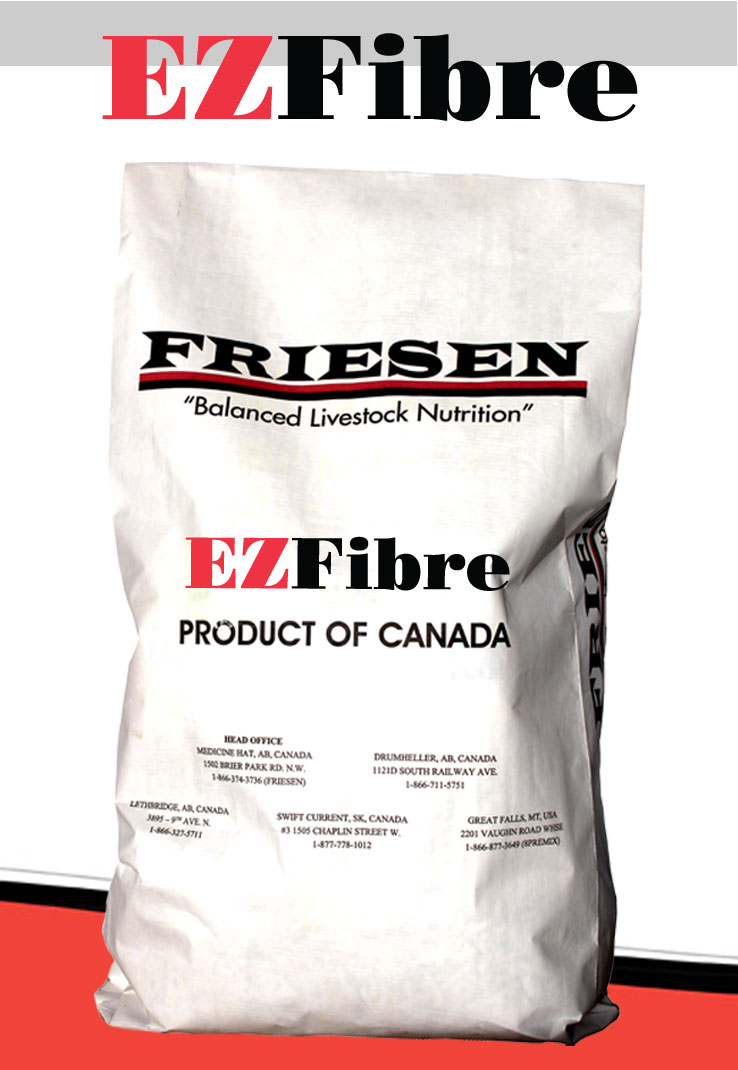 EZfibre Friesen